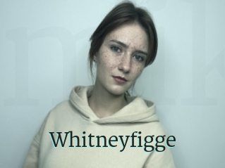 Whitneyfigge