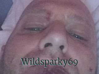 Wildsparky69