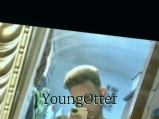 YoungOtter
