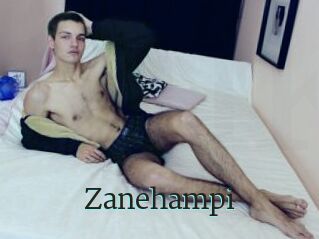 Zanehampi